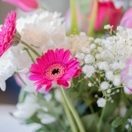 Hillcrest Ferienpark