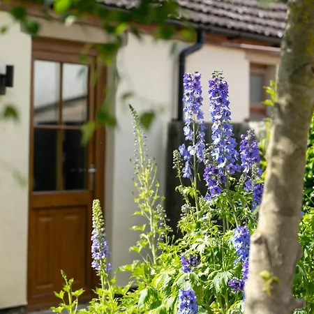 Hillcrest Ferienpark Richmond (North Yorkshire)