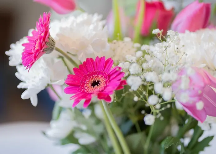 Hillcrest Holiday park