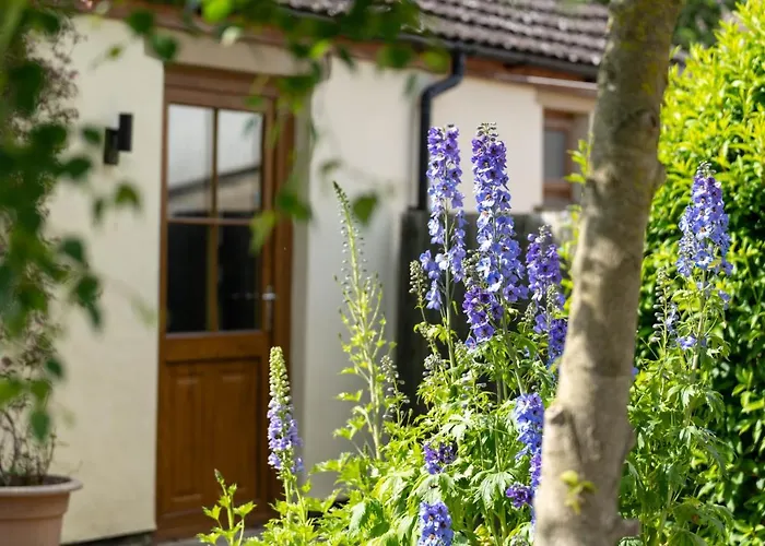 Hillcrest Holiday park Richmond (North Yorkshire)